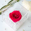 Meet our Everlasting Roses - Mini Edition! This is a REAL rose