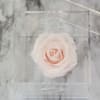 This is a rose that can last for up to a year