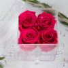 These are REAL rose that can last for up to a year