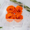 These are REAL rose that can last for up to a year