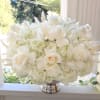 Beautiful white hydrangeas and roses. 