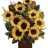 Show her she&#039;s golden with this sunny bouquet, and you can bet