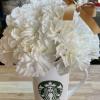 White carnations 
