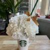 White carnations 