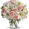 This beautiful bouquet will most certainly arrive in style! Ready for the
