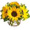 Brighten up a table, send get-well wishes, or simply sprinkle sunshine on