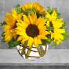 Brighten up a table, send get-well wishes, or simply sprinkle sunshine on
