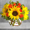 Brighten up a table, send get-well wishes, or simply sprinkle sunshine on