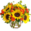 Brighten up a table, send get-well wishes, or simply sprinkle sunshine on