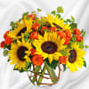 Brighten up a table, send get-well wishes, or simply sprinkle sunshine on