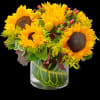 Brighten up someone&#039;s day, or send get well wishes, or simply sprinkle