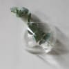 Wall-mounted clear glass vase. Use Rams&aring;sa to add a touch of green