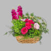 A green basket with a pop of hot pink roses, this arrangement
