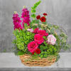 A green basket with a pop of hot pink roses, this arrangement