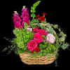 A green basket with a pop of hot pink roses, this arrangement