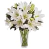 Approximate Dimensions:
(Arrangement) 22&Prime;H &times; 15&Prime;W
(Vase) 10&Prime;H