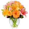 The Brighten Your Day Arrangement is blooming with brilliant color and cheer