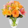 The Brighten Your Day Arrangement is blooming with brilliant color and cheer