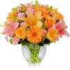 The Brighten Your Day Arrangement is blooming with brilliant color and cheer