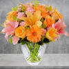 The Brighten Your Day Arrangement is blooming with brilliant color and cheer