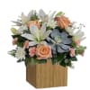 Sleek meets sweet! This modern arrangement pairs a sculptural succulent with soft