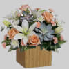 Sleek meets sweet! This modern arrangement pairs a sculptural succulent with soft