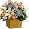 Sleek meets sweet! This modern arrangement pairs a sculptural succulent with soft