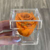 A single forever rose sits in a custom acrylic box. This petit