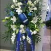 Blues and white 