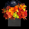 A big black spider creeps your way to wish you a Happy