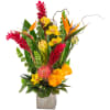 With a tropical beauty all its own, our tropical arrangement brightens every