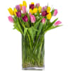 Send a selection of tulips to somebody you have unconditional love for!