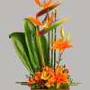 Looking for something with a bit of Zen? With tall birds of