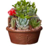Bring a touch of Southwestern charm to any home d&eacute;cor with our