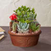 Bring a touch of Southwestern charm to any home d&eacute;cor with our