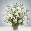 This arrangement smells lovely and is suitable for any type of occasion.

DETAILS
A
