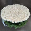 A stunning floral arrangement consisting of tightly packed white or cream roses