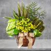 Give a gift of lasting smiles by sending this eye-pleasing European Dish