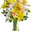 They&#039;ll bask in indoor sunshine when you send this cheerful array of