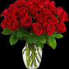 Many a heart has been won with luscious red roses. If there&#039;s