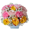 Elevate any occasion with our Magic Meadow Bouquet, a stunning arrangement that