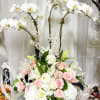 The Majestic Grace Arrangement is a stunning display of opulence and elegance