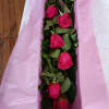 6 or 12 Pink Floyd roses boxed with greens and a bow.