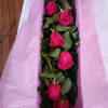 6 or 12 Pink Floyd roses boxed with greens and a bow.