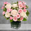 Celebrate a special day with this sweet treat of radiant roses in