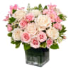 Celebrate a special day with this sweet treat of radiant roses in