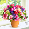 A warm terra-cotta pot and lots of fun colors give this arrangement