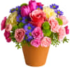 A warm terra-cotta pot and lots of fun colors give this arrangement