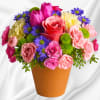 A warm terra-cotta pot and lots of fun colors give this arrangement