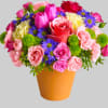 A warm terra-cotta pot and lots of fun colors give this arrangement